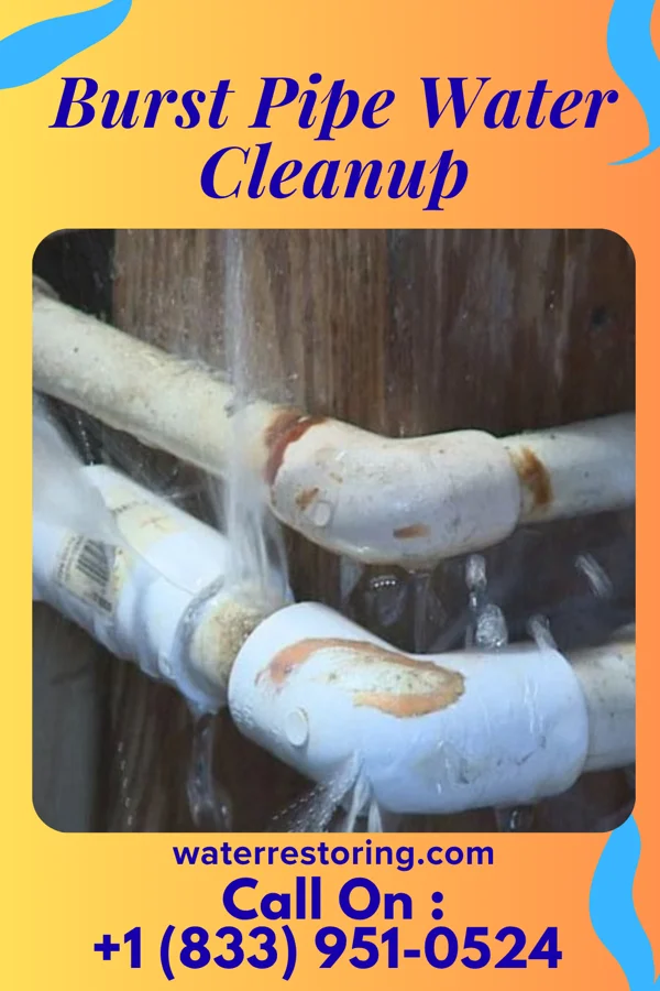 Burst Pipe Water Cleanup in Lumberton, MS