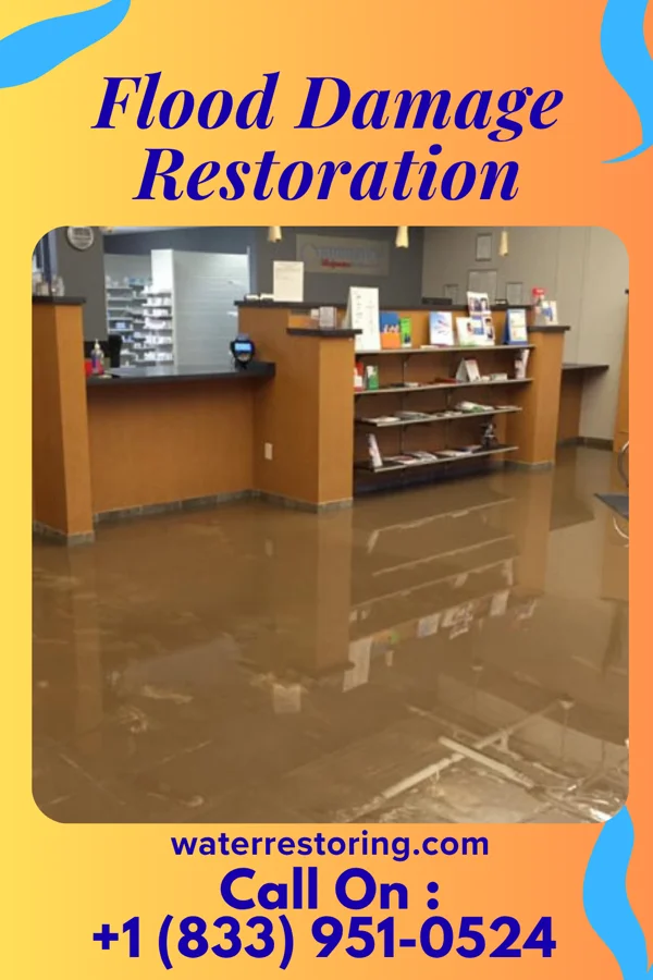 Flood Damage Restoration in Lumberton, MS
