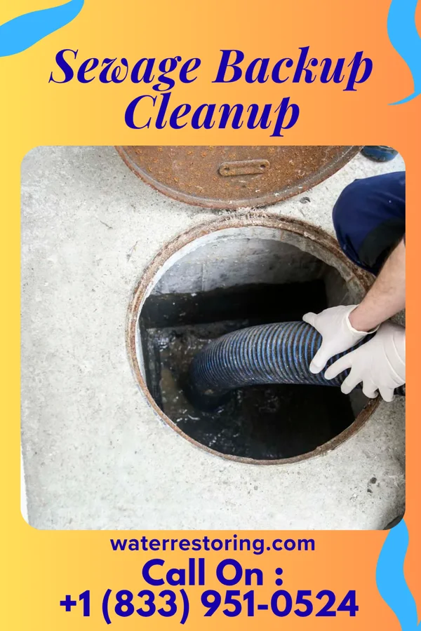 Sewage Backup Cleanup in Lumberton, MS